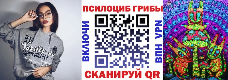 Псилоцибиновые грибы Cubensis  Чадан 