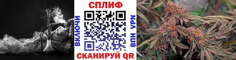 Конопля White Widow  Чадан 